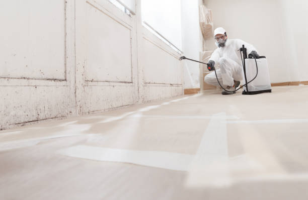 24/7 Emergency Black Mold Remediation experts in Maynard, MA